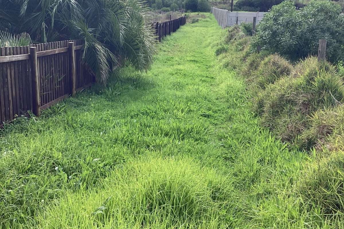Vacant Land Residential For Sale in Albertinia Central - Photo 2