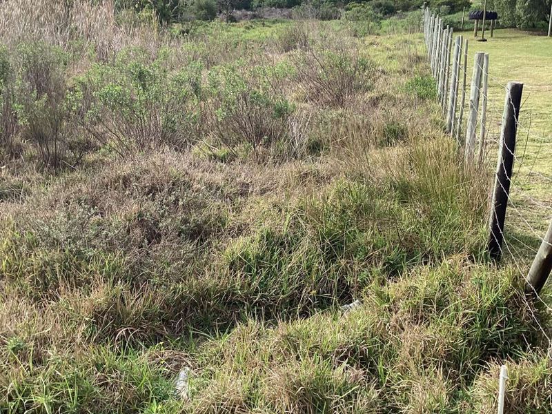 Vacant Land Residential For Sale in Albertinia Central - Photo 9