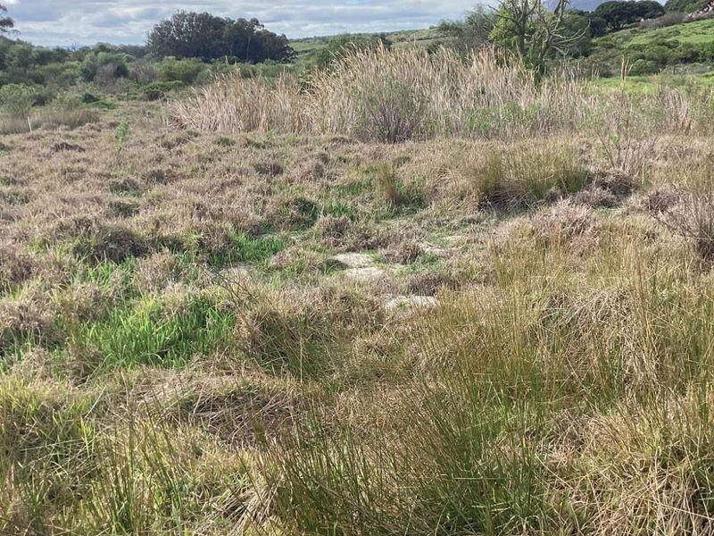 Vacant Land Residential For Sale in Albertinia Central - Photo 8