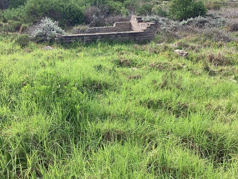 Vacant Land Residential For Sale in Albertinia Central - Photo 7
