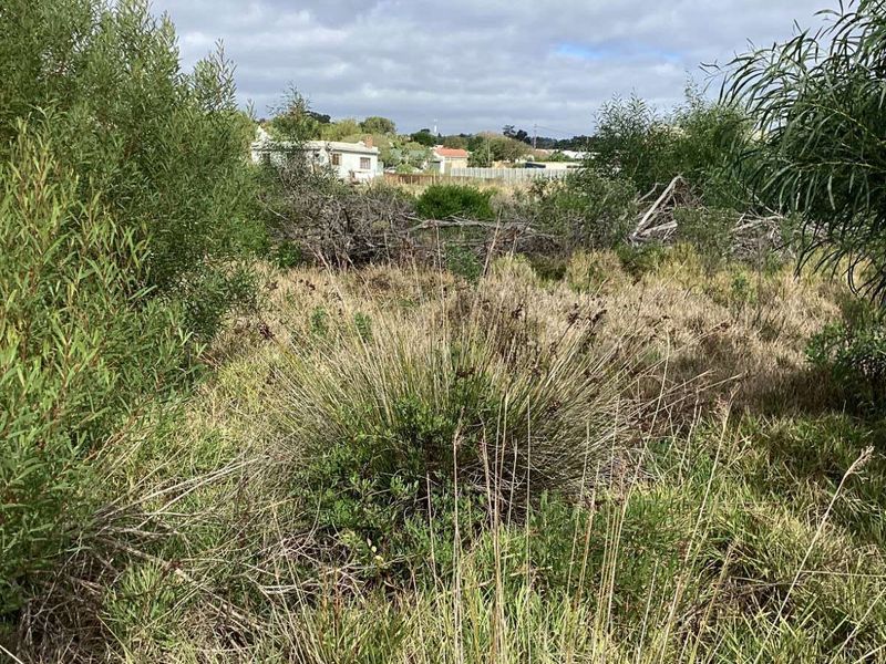 Vacant Land Residential For Sale in Albertinia Central - Photo 4
