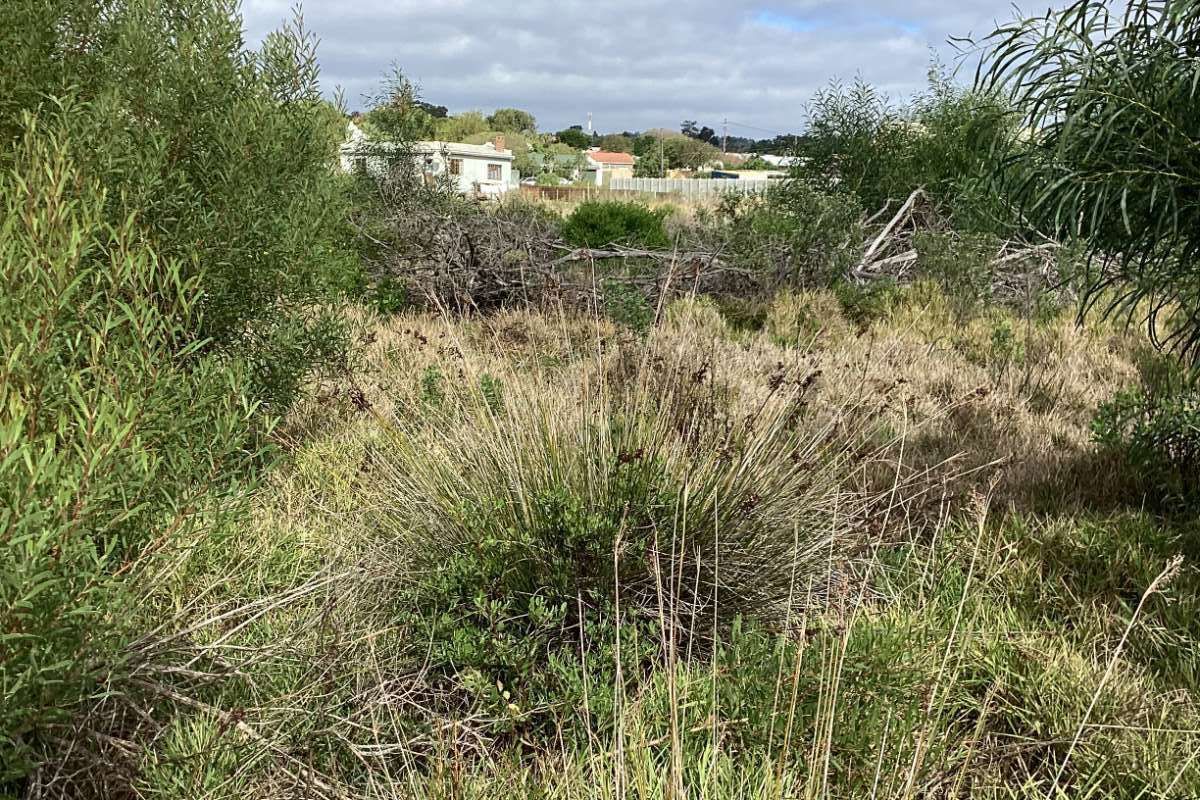 Vacant Land Residential For Sale in Albertinia Central - Photo 4