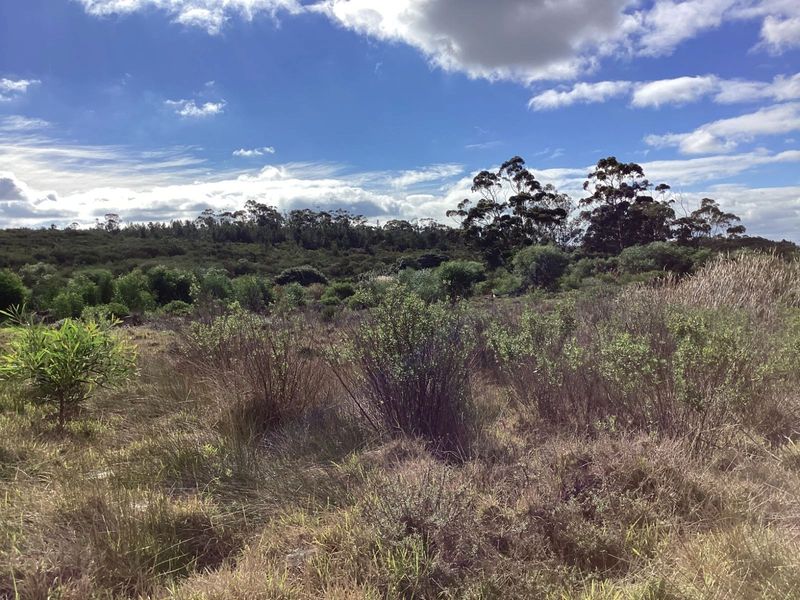 Vacant Land Residential For Sale in Albertinia Central - Photo 3