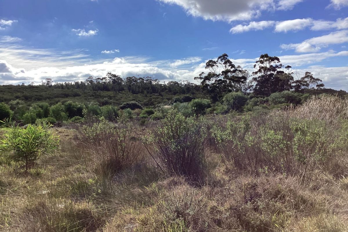 Vacant Land Residential For Sale in Albertinia Central - Photo 3