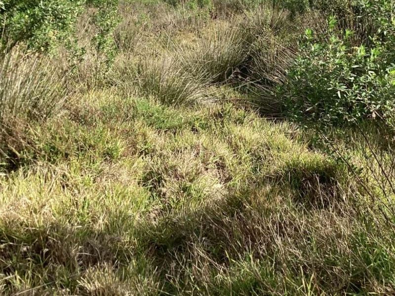 Vacant Land Residential For Sale in Albertinia Central - Photo 5
