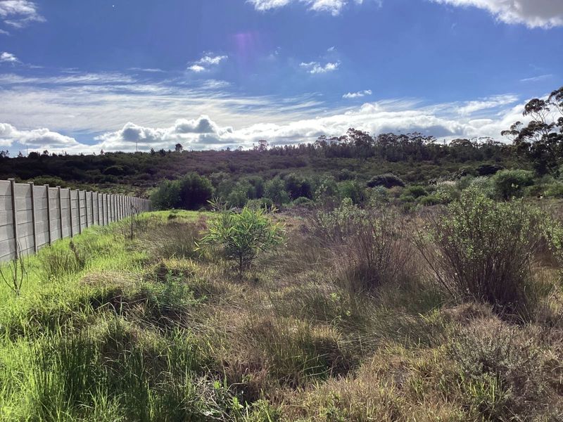 Vacant Land Residential For Sale in Albertinia Central - Photo 1