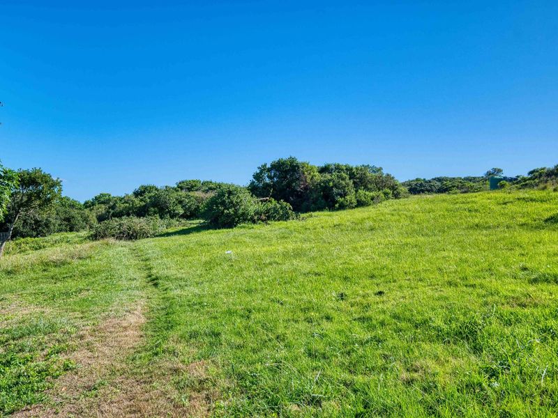 Farm For Sale in Colleen Glen - Photo 6