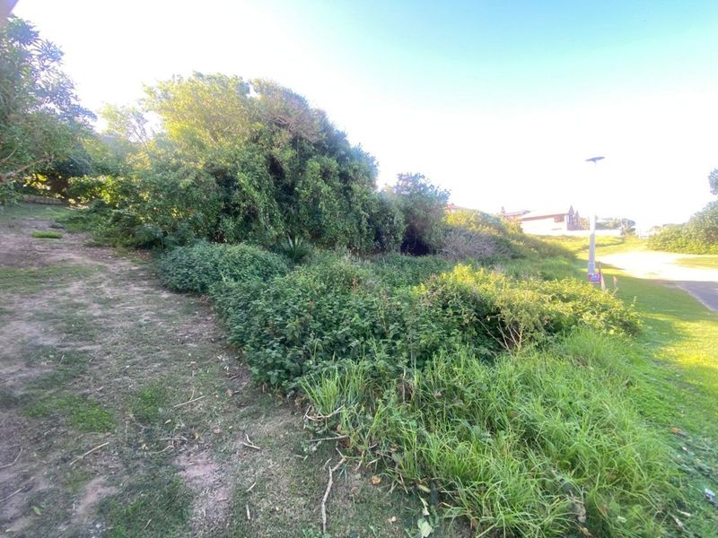 Vacant Land Residential For Sale in Bothastrand - Photo 6
