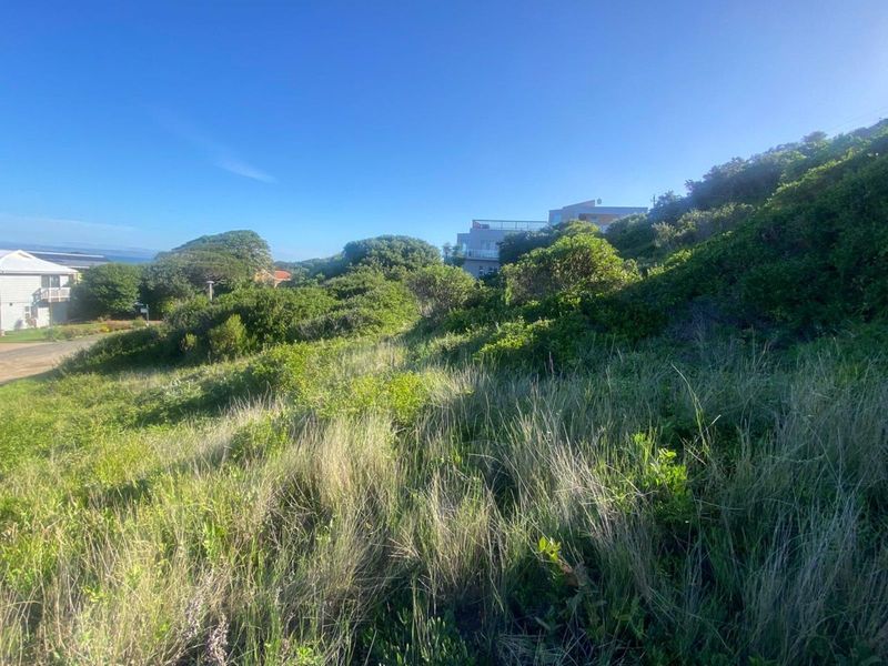 Vacant Land Residential For Sale in Bothastrand - Photo 4