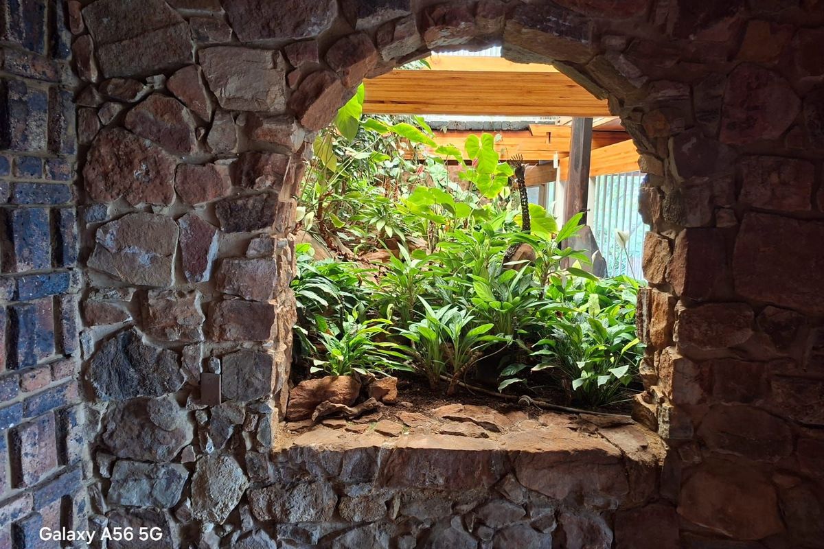 A rustic stone-walled feature area with an integrated indoor garden planter, showcasing natural textures and architectural character.
