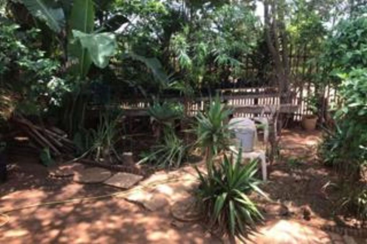 A dense, overgrown garden area featuring established trees, shrubs, and natural ground cover, offering a private and shaded outdoor space.