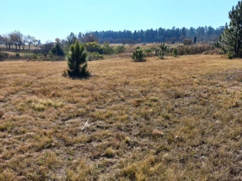 Farm For Sale in Rietfontein AH - Photo 7