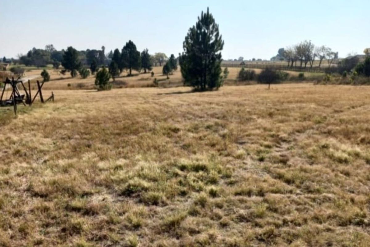 Farm For Sale in Rietfontein AH - Photo 5