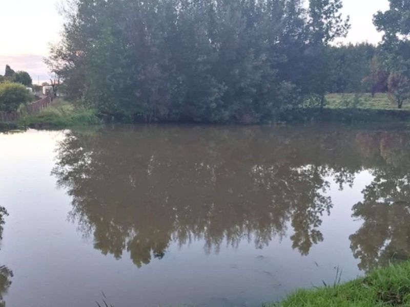 Farm For Sale in Rietfontein AH - Photo 10