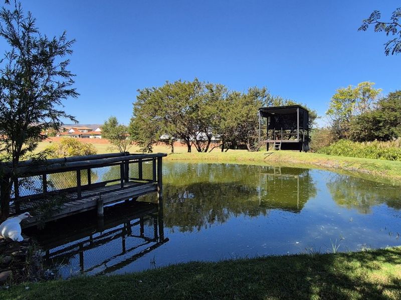Farm For Sale in Lydenburg Central - Photo 4
