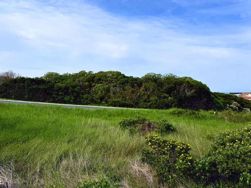 Vacant Land Residential For Sale in Klipfonteyn - Photo 4