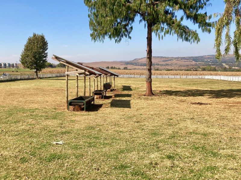 Farm For Sale in Zwartkrans - Photo 10
