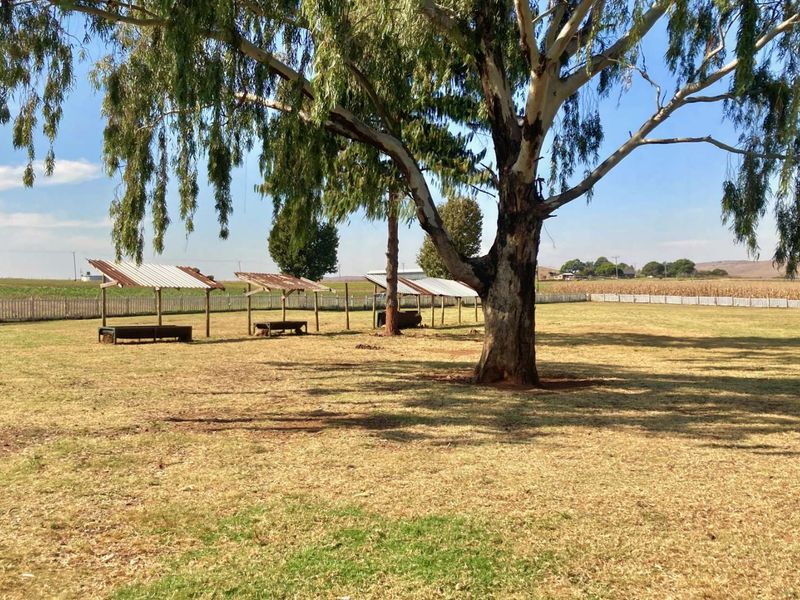 Farm For Sale in Zwartkrans - Photo 4