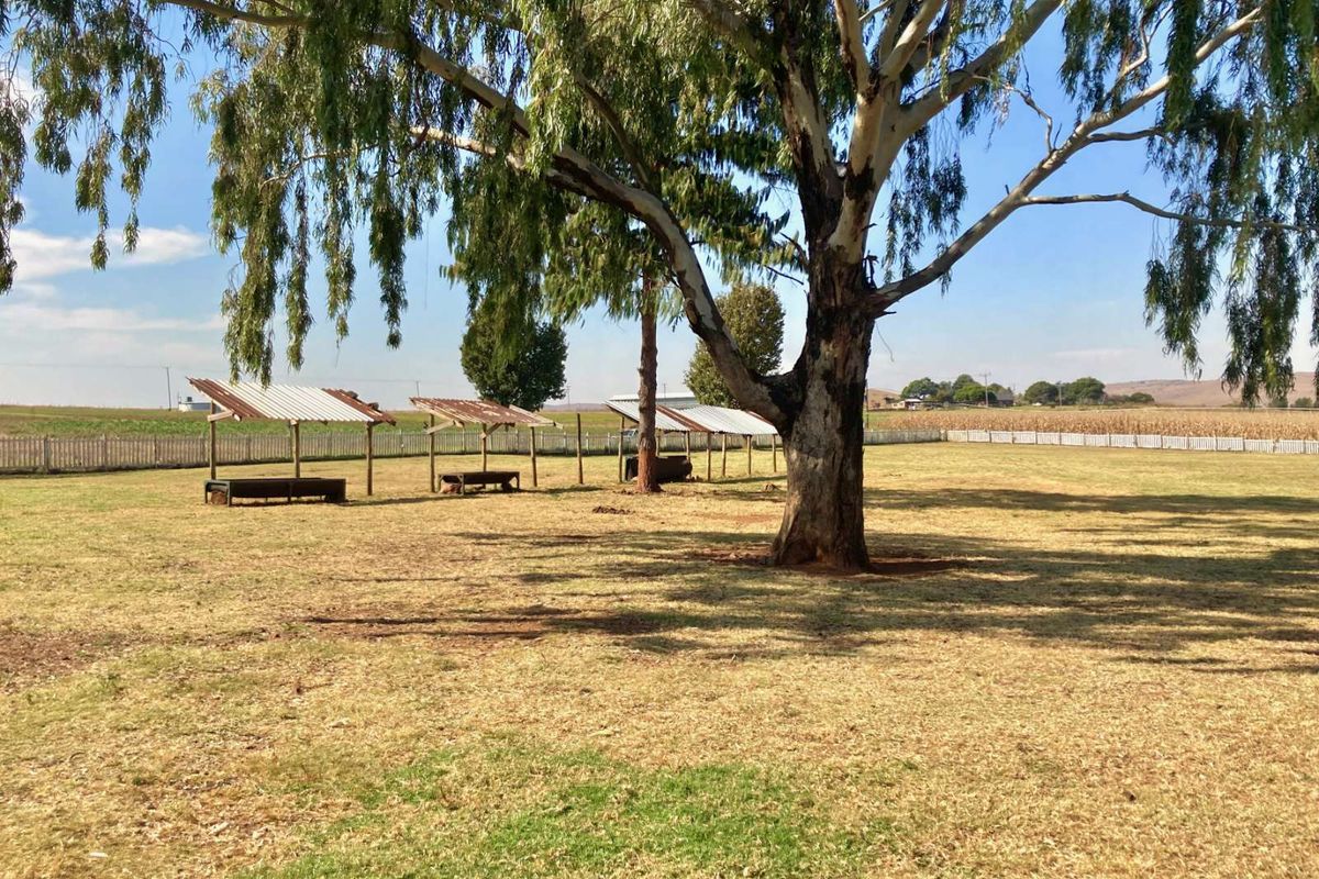 Farm For Sale in Zwartkrans - Photo 4