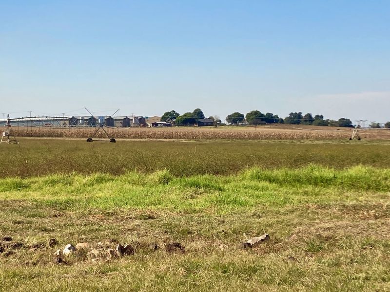 Farm For Sale in Zwartkrans - Photo 5