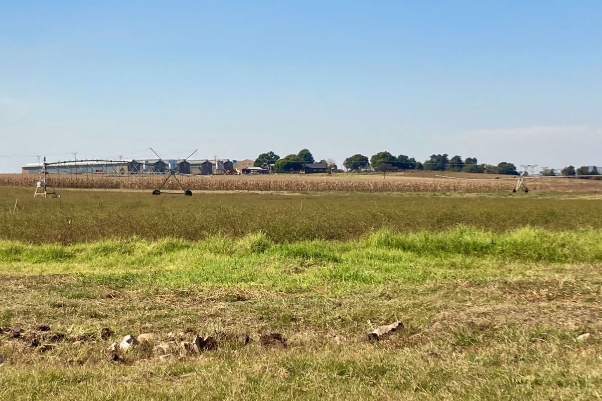 Farm For Sale in Zwartkrans - Photo 5
