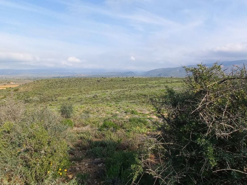 Farm For Sale in Calitzdorp Rural - Photo 3