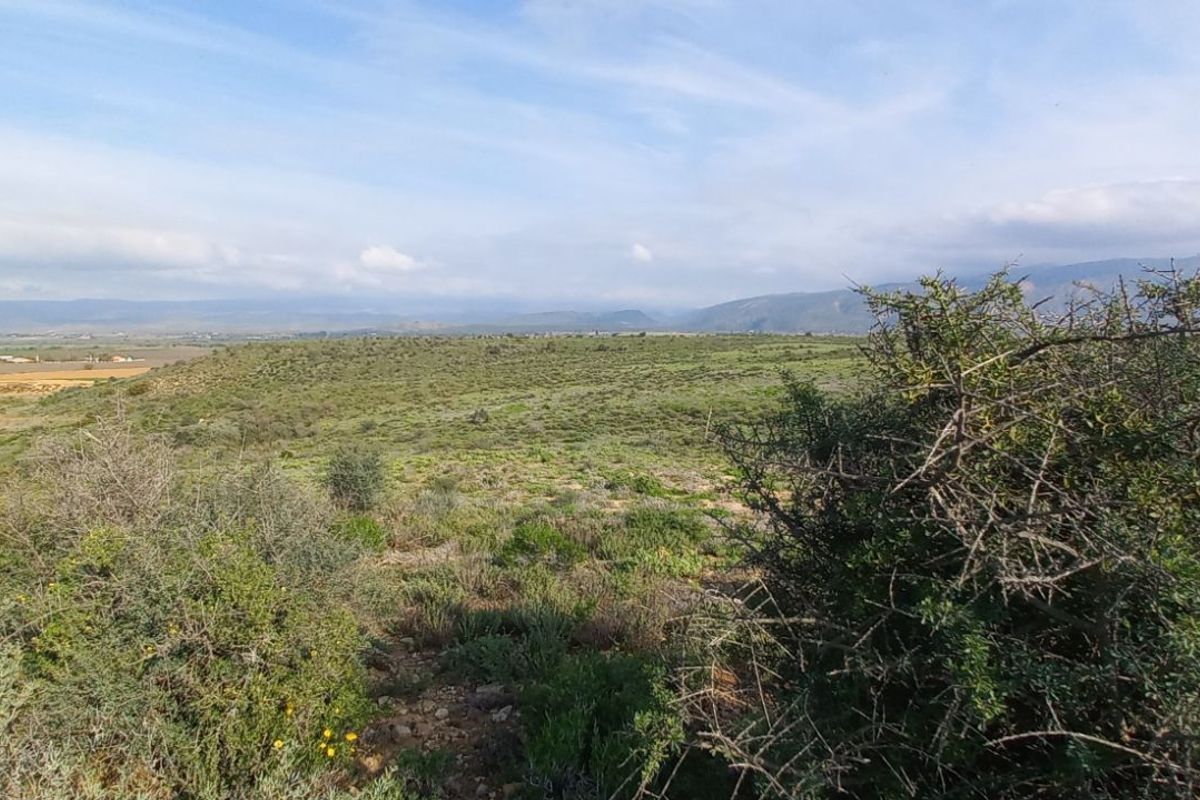 Farm For Sale in Calitzdorp Rural - Photo 3