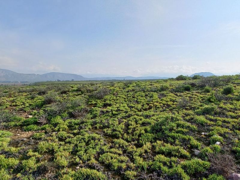 Farm For Sale in Calitzdorp Rural - Photo 4