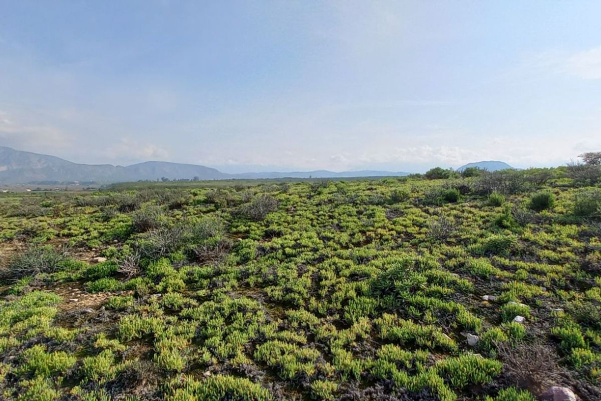 Farm For Sale in Calitzdorp Rural - Photo 4