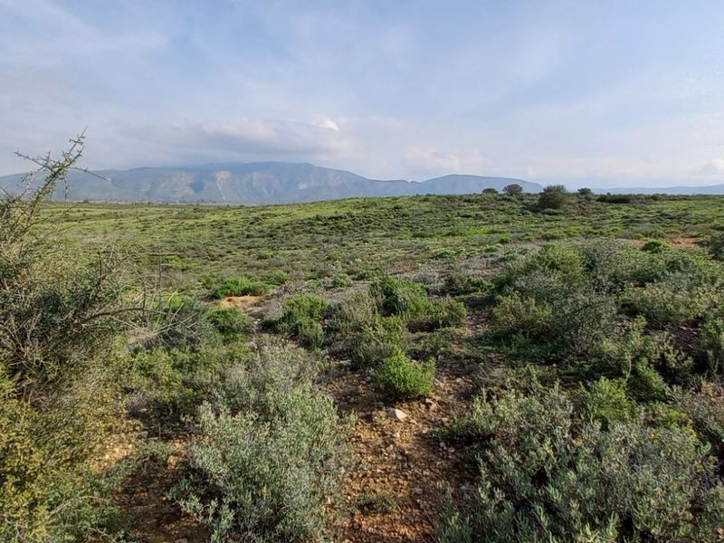 Farm For Sale in Calitzdorp Rural - Photo 9