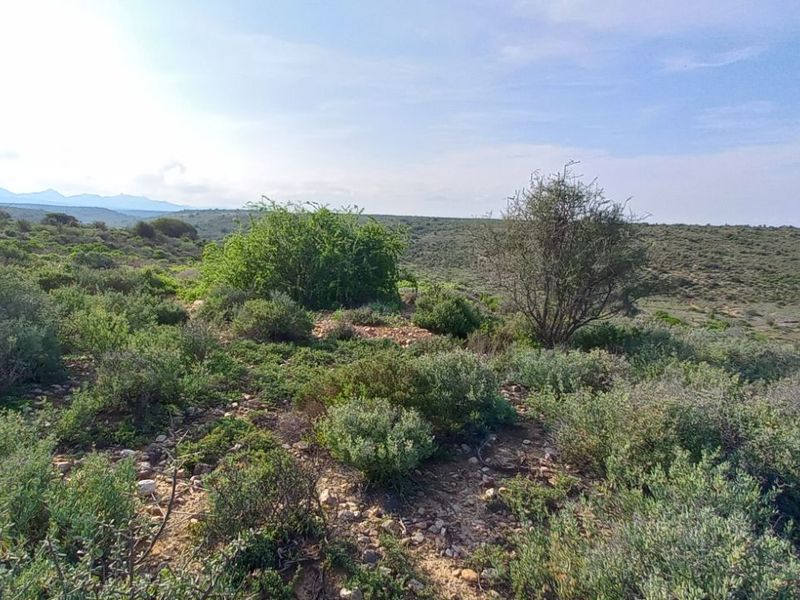 Farm For Sale in Calitzdorp Rural - Photo 8