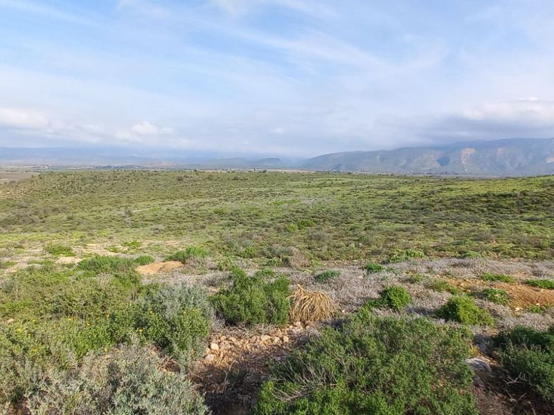 Farm For Sale in Calitzdorp Rural - Photo 7