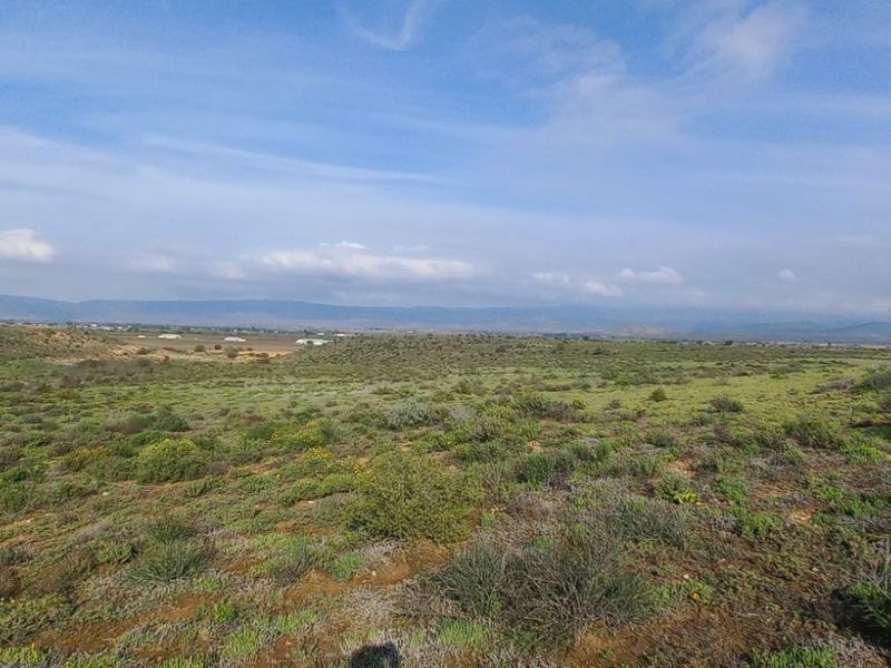 Farm For Sale in Calitzdorp Rural - Photo 6