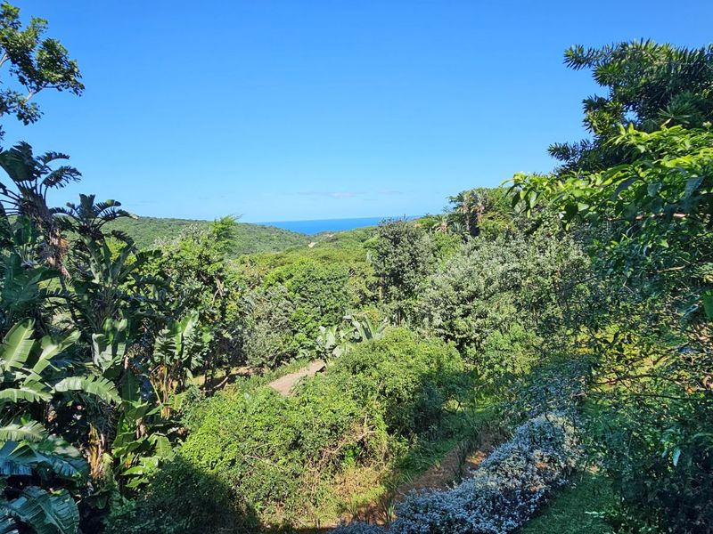 House For Sale in Zimbali - Photo 10