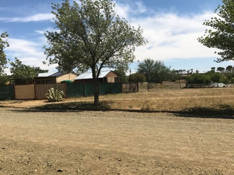 House For Sale in Steynsrus Central - Photo 5