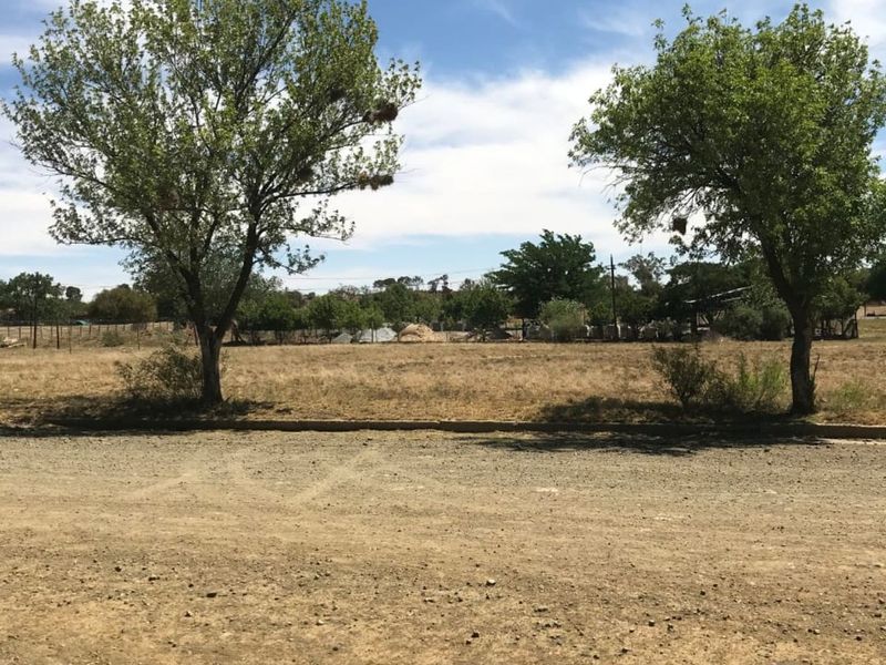 House For Sale in Steynsrus Central - Photo 6