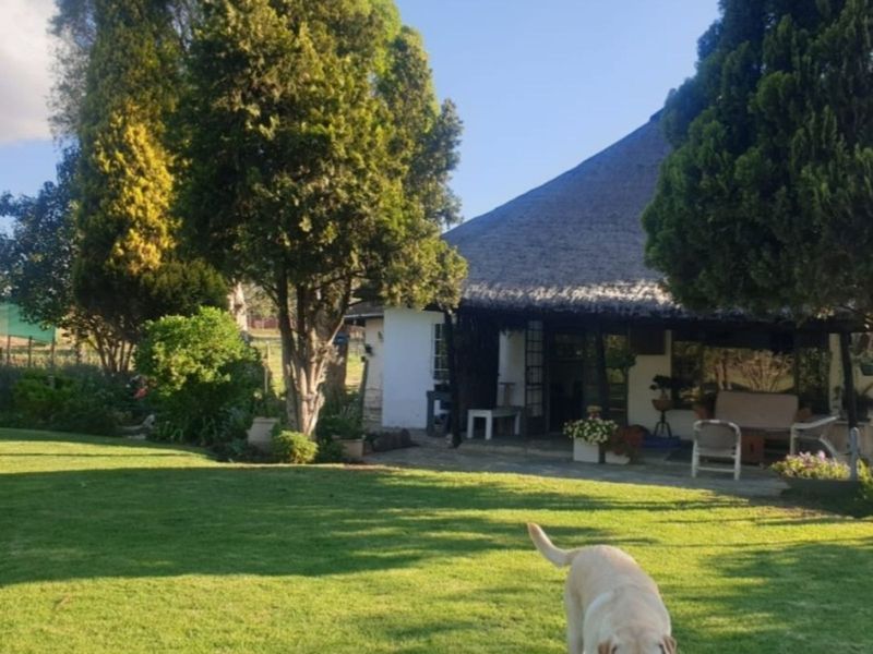 House For Sale in Rietfontein AH - Photo 5