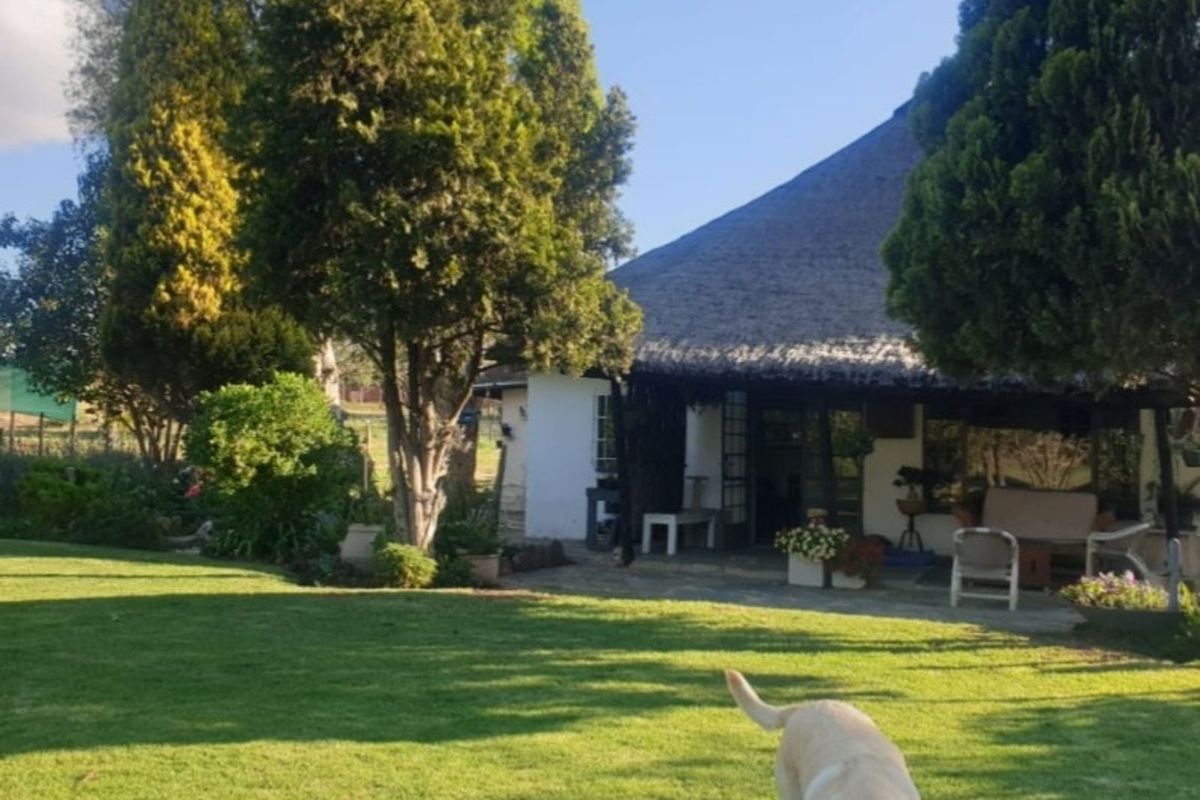 House For Sale in Rietfontein AH - Photo 5