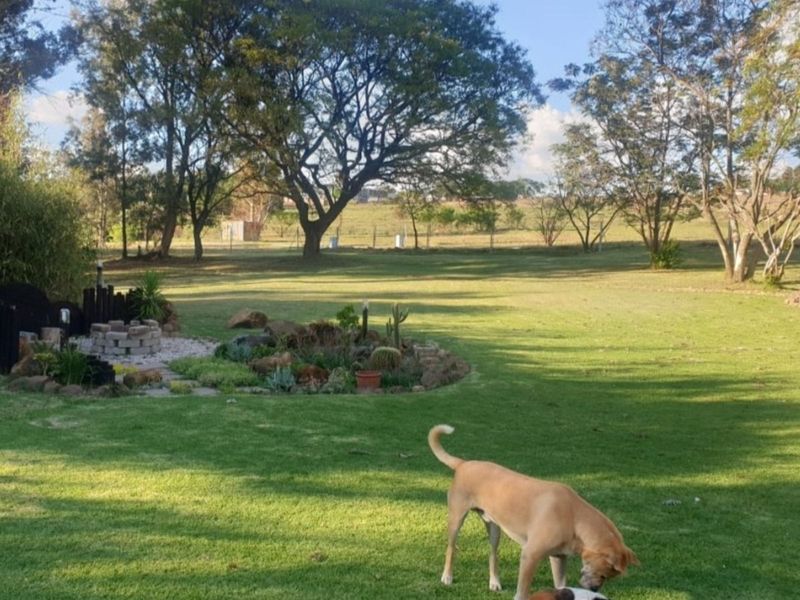 House For Sale in Rietfontein AH - Photo 6