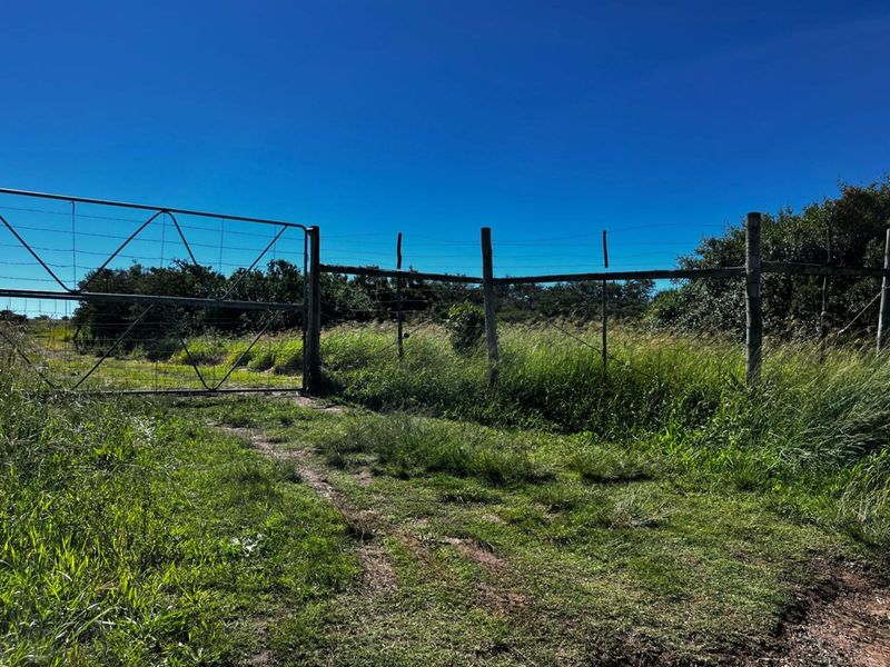 Farm For Sale in Langholm - Photo 3