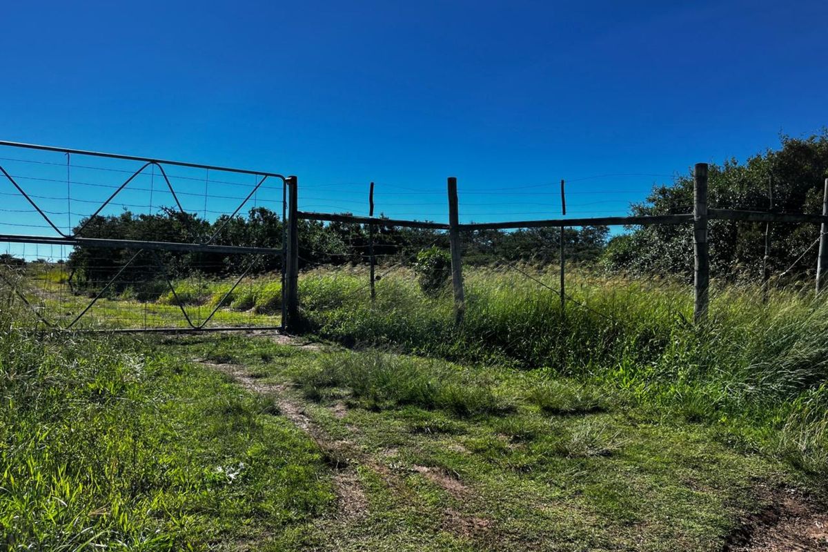 Farm For Sale in Langholm - Photo 3