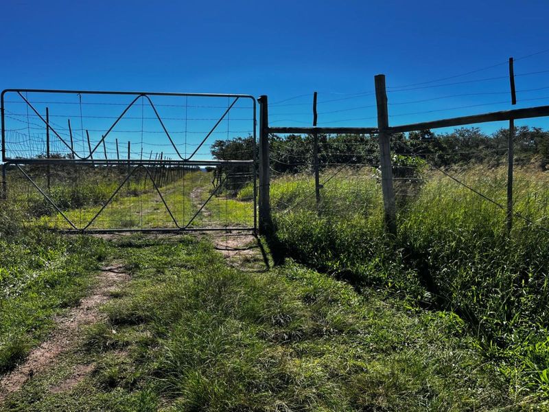 Farm For Sale in Langholm - Photo 2