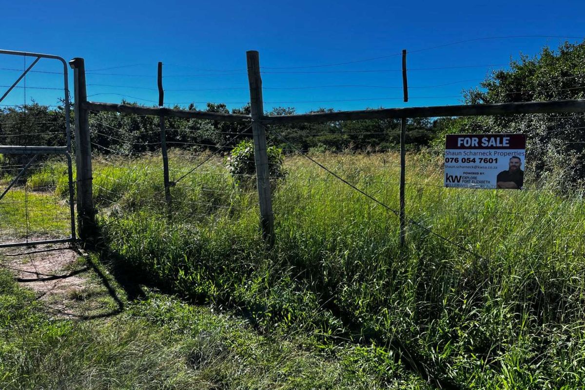 Farm For Sale in Langholm - Photo 4