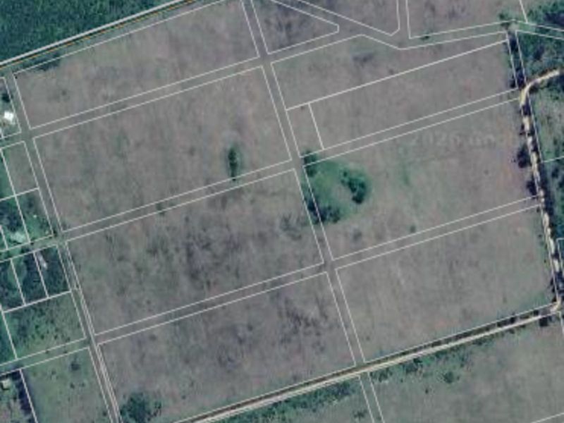 Farm For Sale in Langholm - Photo 8