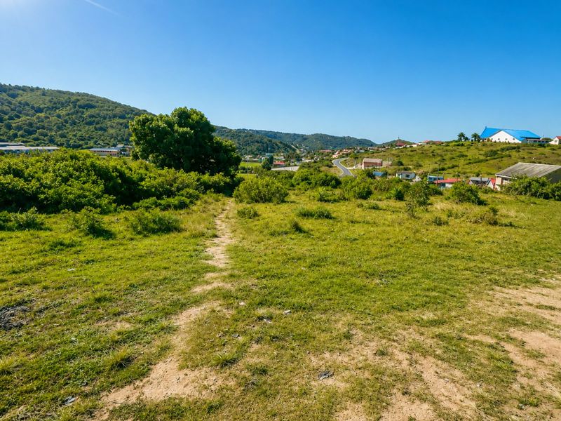 Vacant Land Residential For Sale in Greenhaven - Photo 2