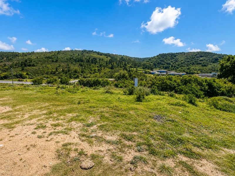 Vacant Land Residential For Sale in Greenhaven - Photo 4