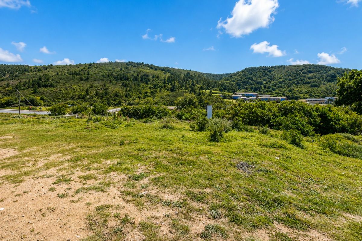 Vacant Land Residential For Sale in Greenhaven - Photo 4