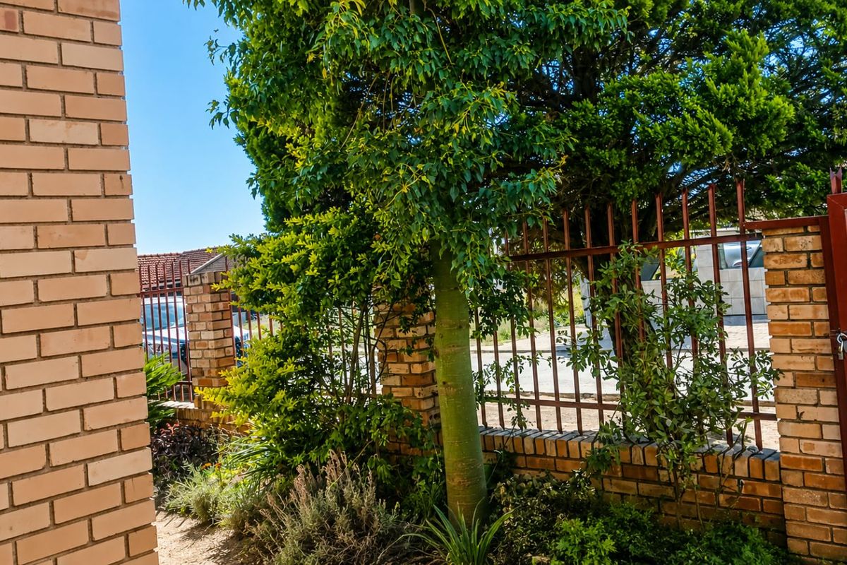 House For Sale in African Jewel - Photo 4