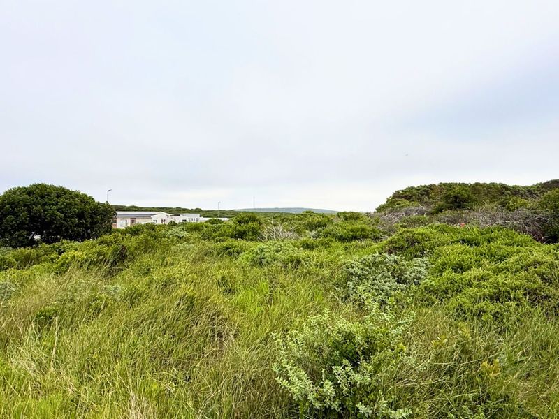 Vacant Land Residential For Sale in Kleinbaai - Photo 5