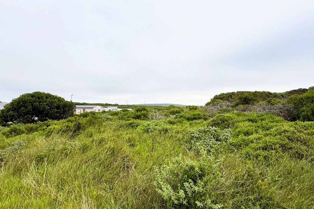 Vacant Land Residential For Sale in Kleinbaai - Photo 5